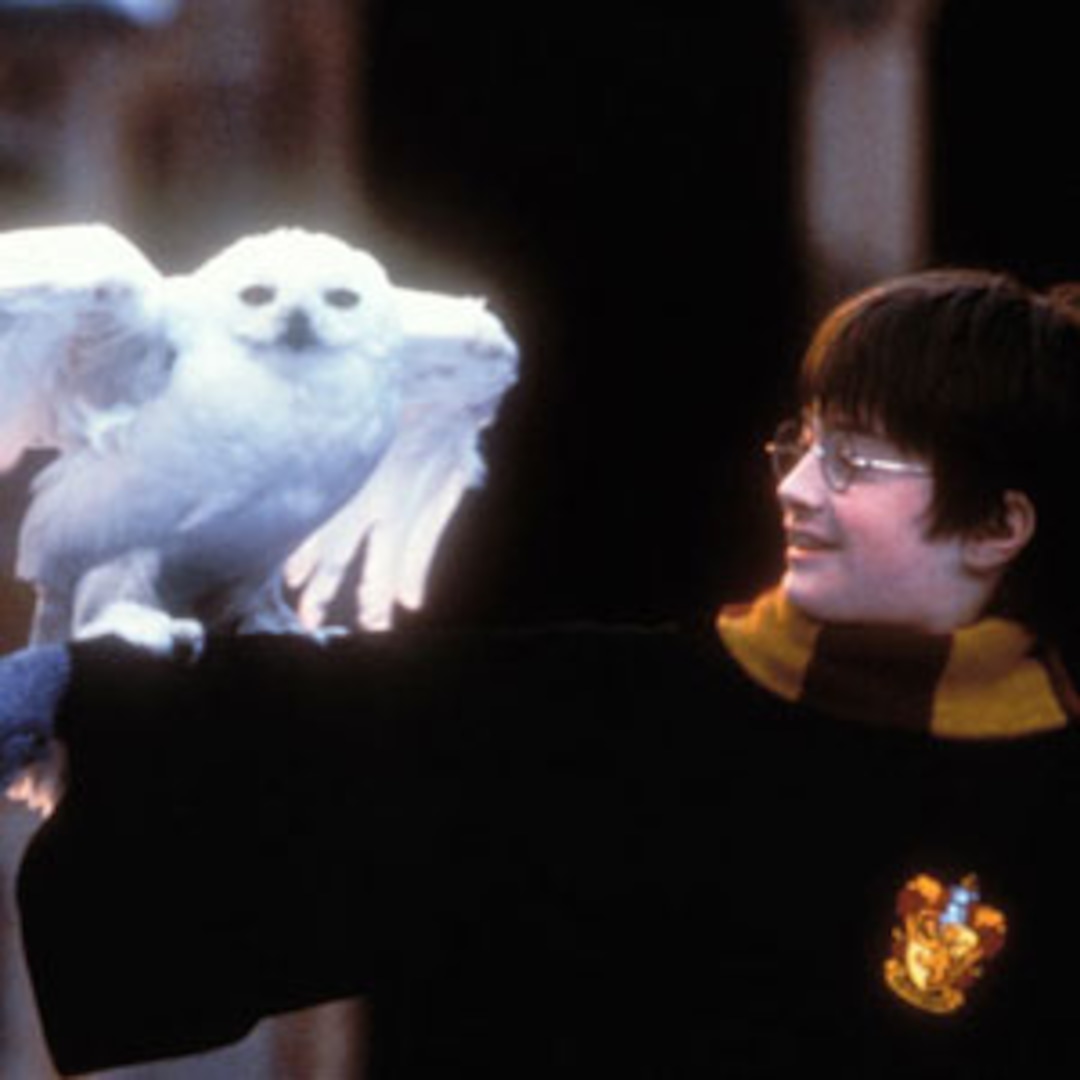 Photos from The Best Harry Potter Movie Moments Ever E! Online